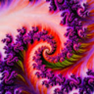 Meet your Posher, Allissawashere